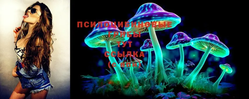 Галлюциногенные грибы MAGIC MUSHROOMS  Игра 